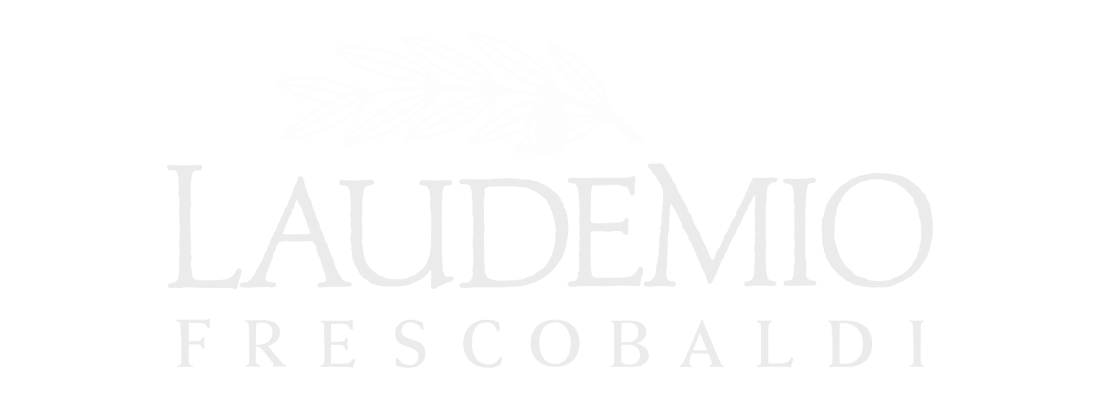 LAUDEMIO